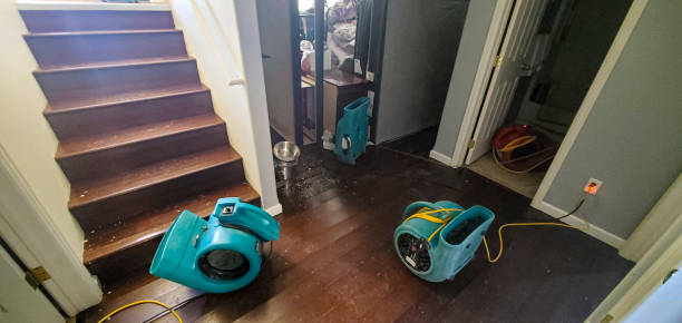 Best Ceiling water damage repair  in Castle Rock, CO