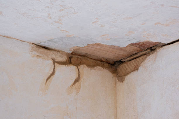 Best Water damage restoration near me  in Castle Rock, CO