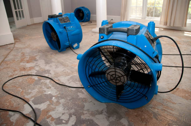 Best Water damage restoration near me  in Castle Rock, CO