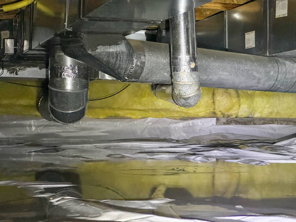Best Mold removal after water damage  in Castle Rock, CO