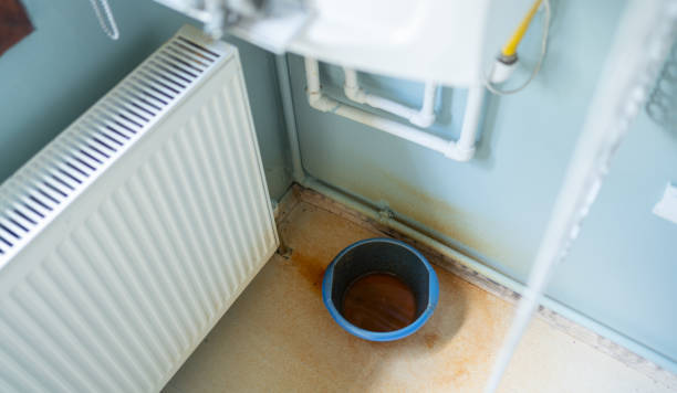 Best Sewage cleanup and water damage restoration  in Castle Rock, CO