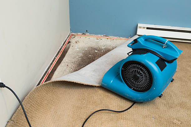 Fire Damage Restoration in CO
